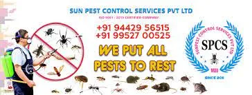Sun Pest Control Services Pvt.Ltd - 2