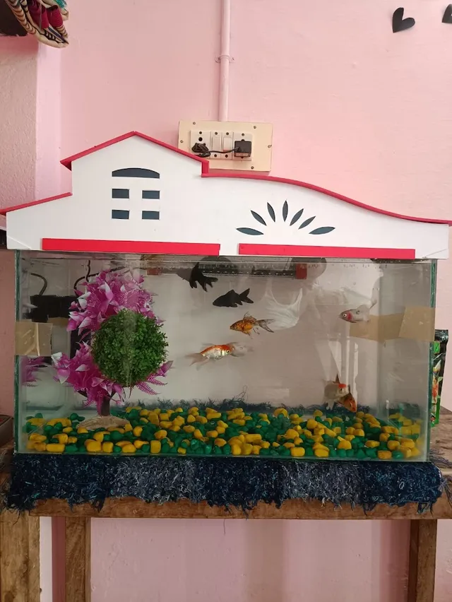 Sunrise Pets Shop - 5