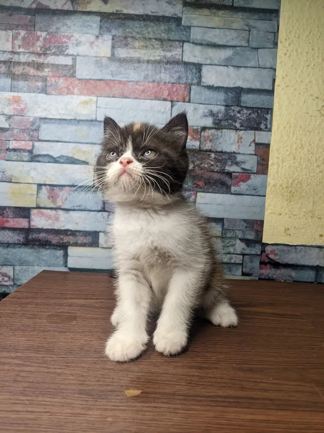 MUTHU AQUARIUM & PET'S - 2