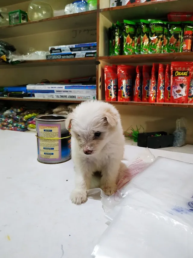 MUTHU AQUARIUM & PET'S - 4