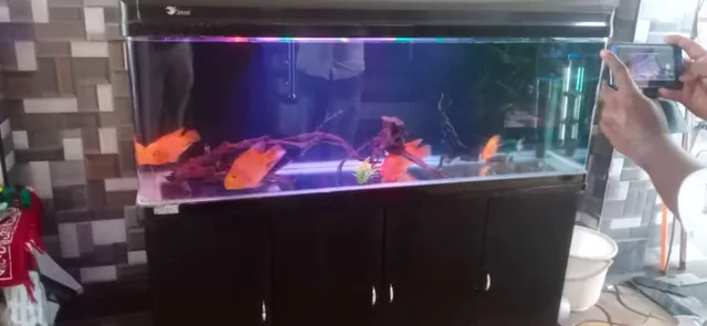 MUTHU AQUARIUM & PET'S - 5