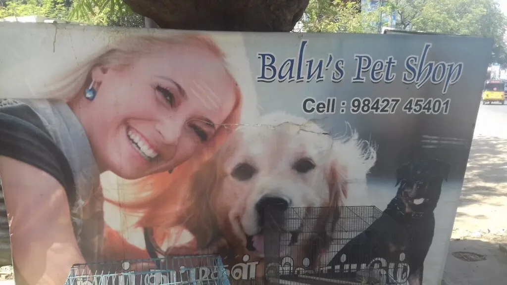 Balu's Pet Shop