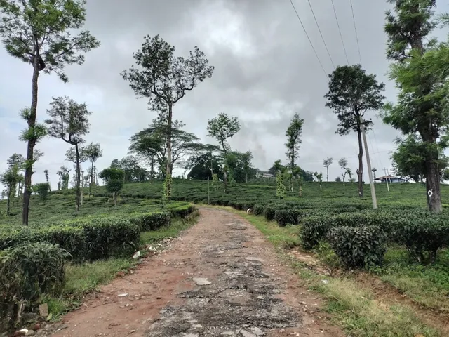 Sri Akkamma Travels - 3