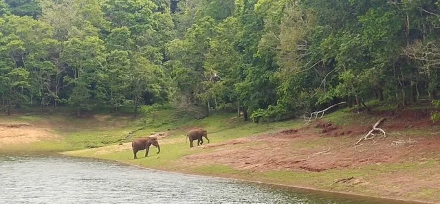 Sri Akkamma Travels - 6