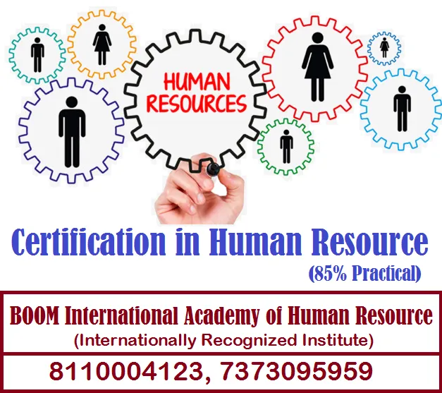 Boom Business Consulting Solutions - 3