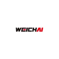 Weichai India