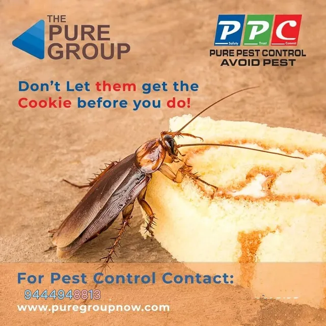 Pure Pest Control - 2