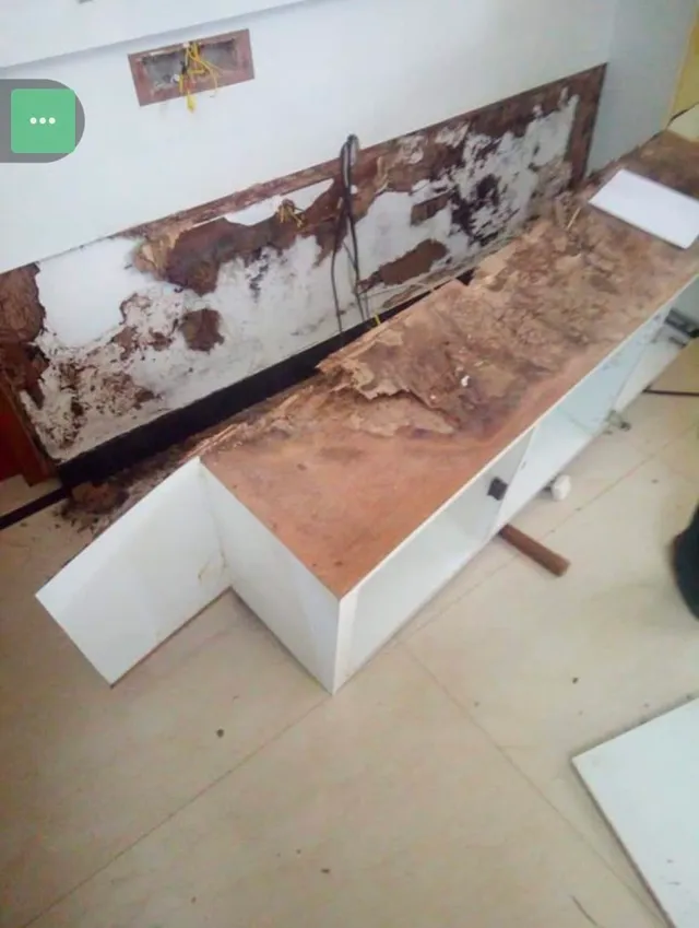 Pure Pest Control - 4