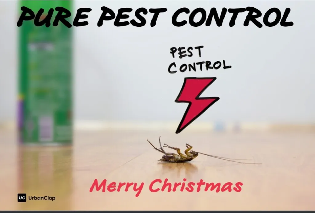 Pure Pest Control