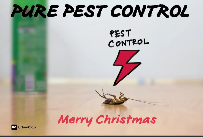 Pure Pest Control