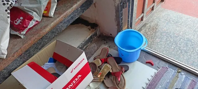 Pure Pest Control - 5