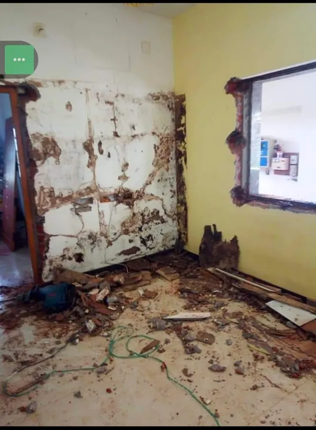 Pure Pest Control - 6