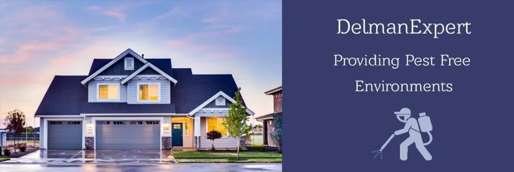 DelmanExpert Pest Control Erode