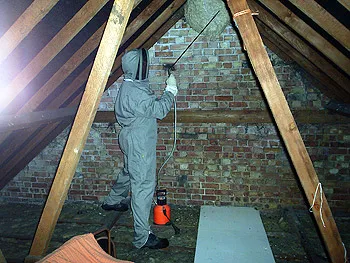 Asian pest control service - 5