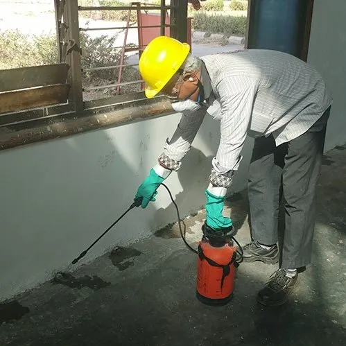 Asian pest control service - 6