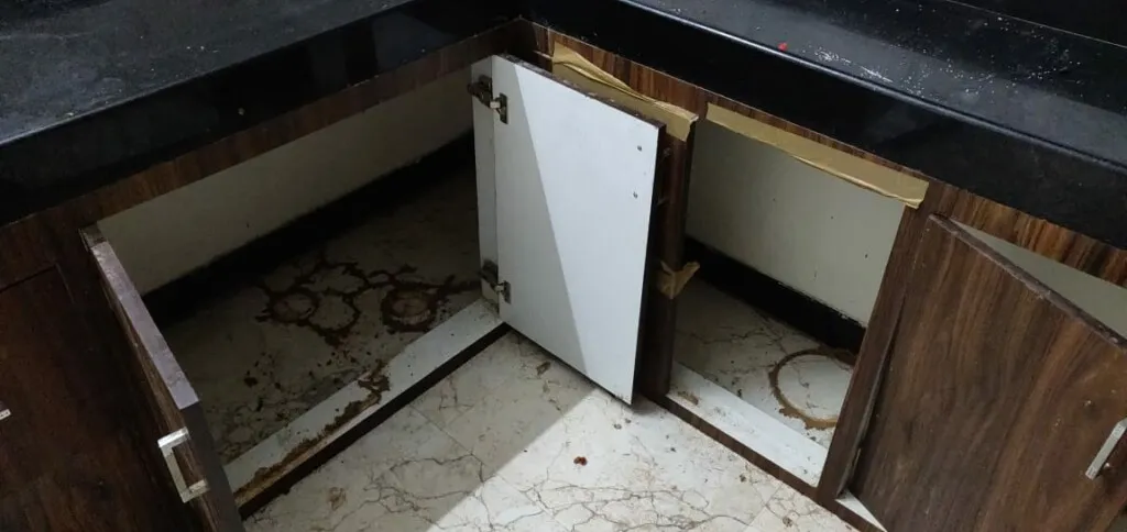 Indian Pest Control Solution