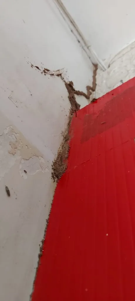 Oneland Global Solutions Pvt Ltd