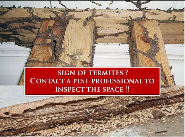 Oneland Global Solutions Pvt Ltd - 2