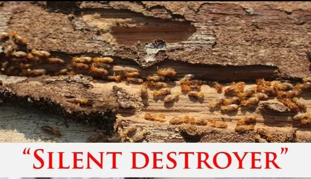 Oneland Global Solutions Pvt Ltd - 3