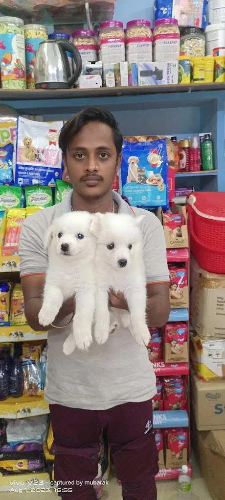 Yogi's Happy Pet's - 3