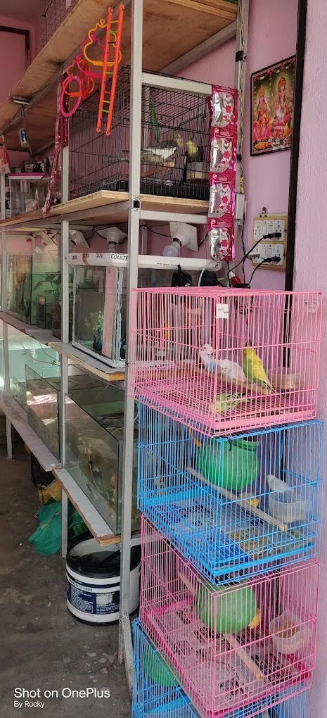 RK Pet Shop Renigunta - 5