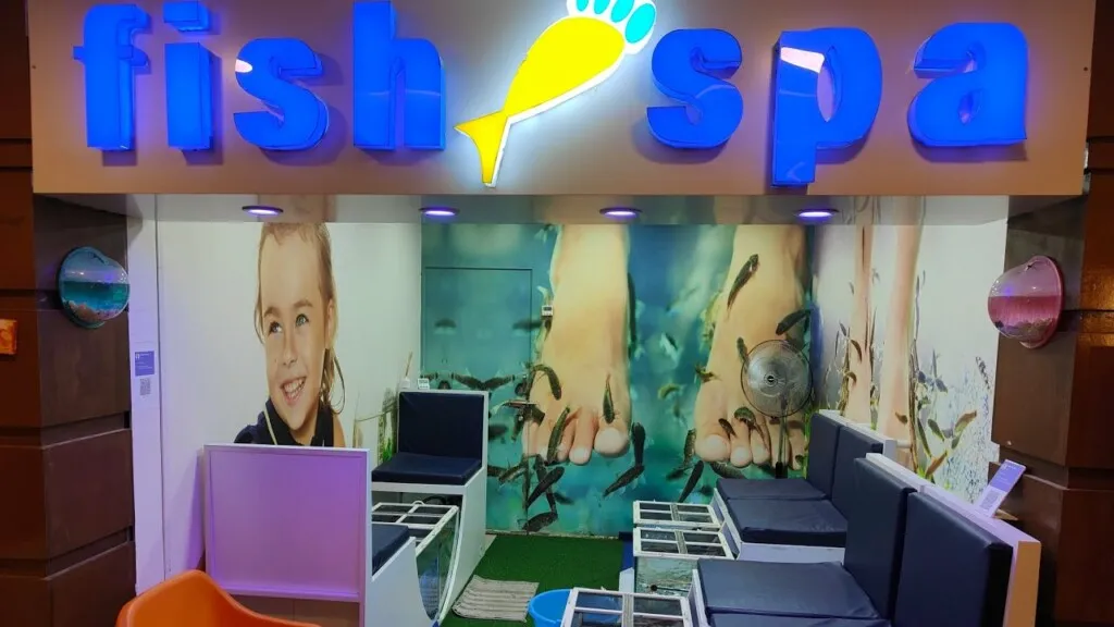 MSR Fish Spa