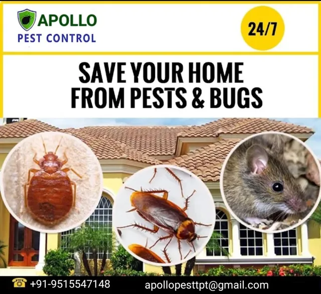 Apollo Pest Control Services - 3