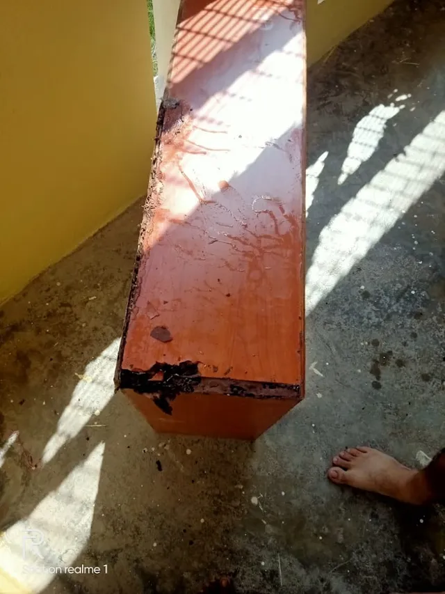 Krupa Pest Control Service - 6