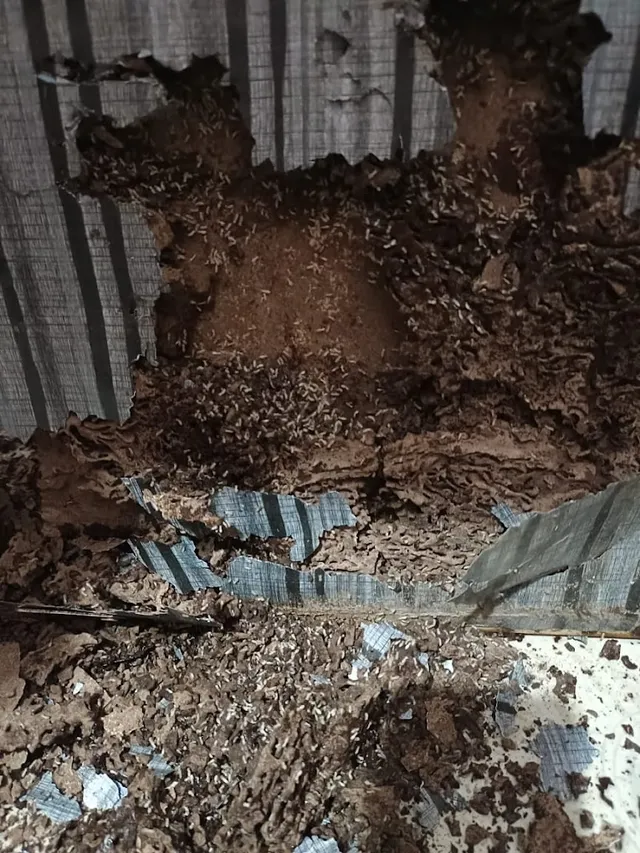 PCE PEST CONTROL EXPERTS INDIA PVT LTD - 2