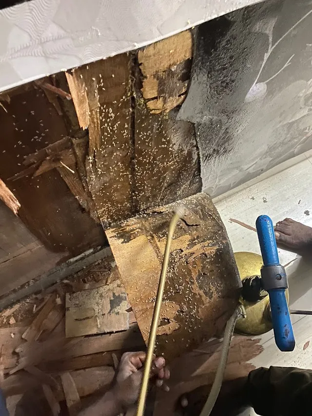 PCE PEST CONTROL EXPERTS INDIA PVT LTD - 3