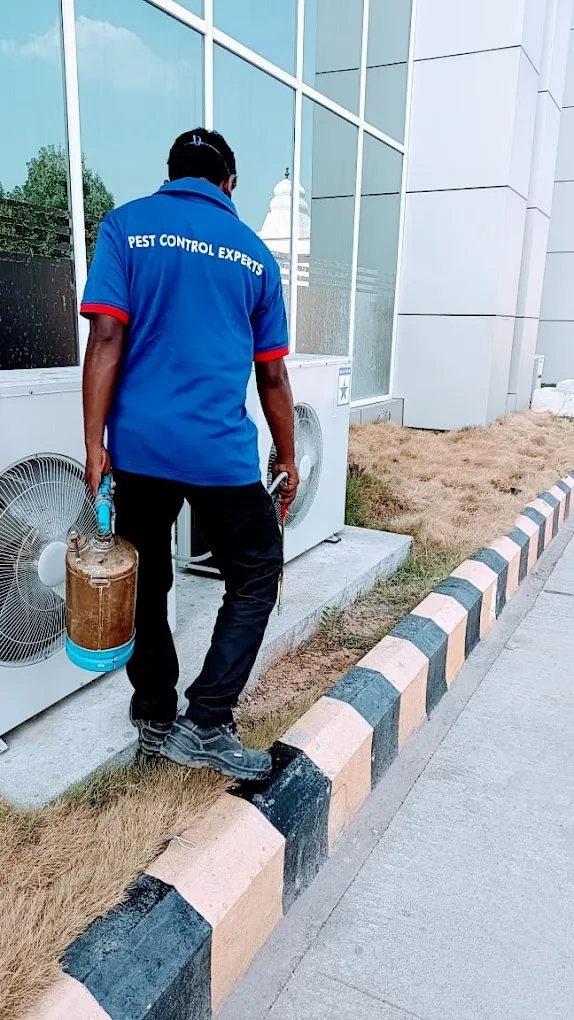PCE PEST CONTROL EXPERTS INDIA PVT LTD - 4