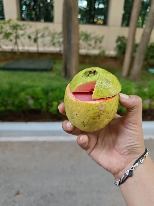 Eat Raja Juice Bar - 4