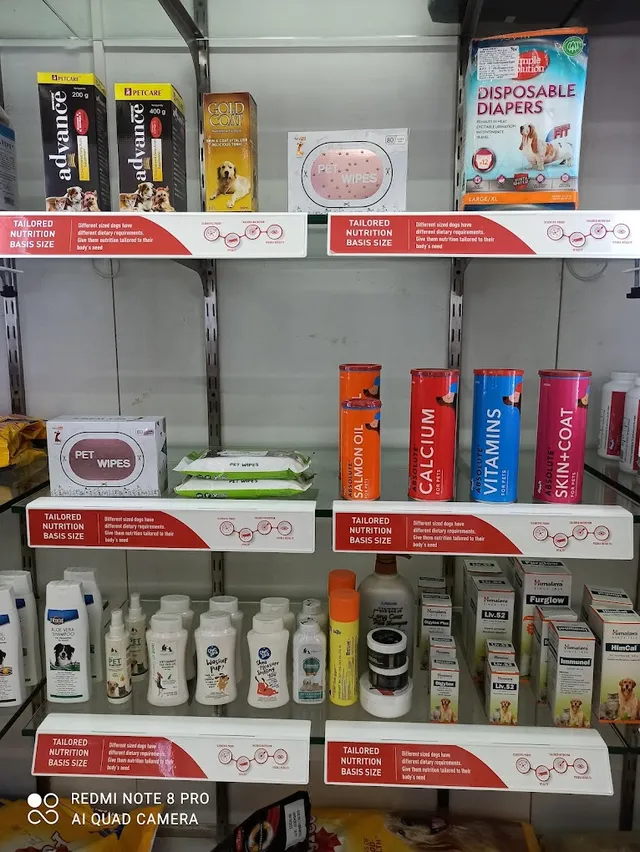 DogMyCats - Neeladri Nagar - 2