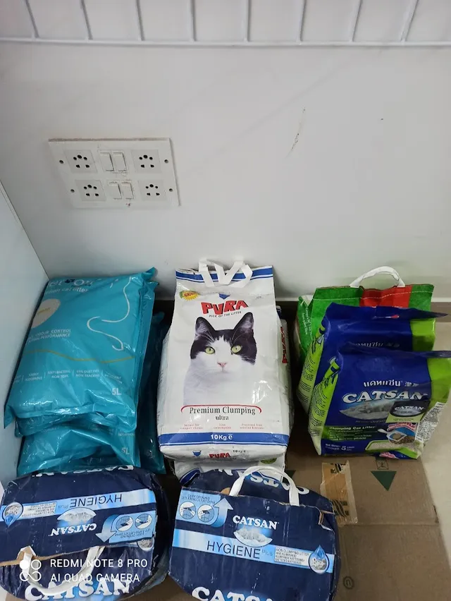 DogMyCats - Neeladri Nagar - 3