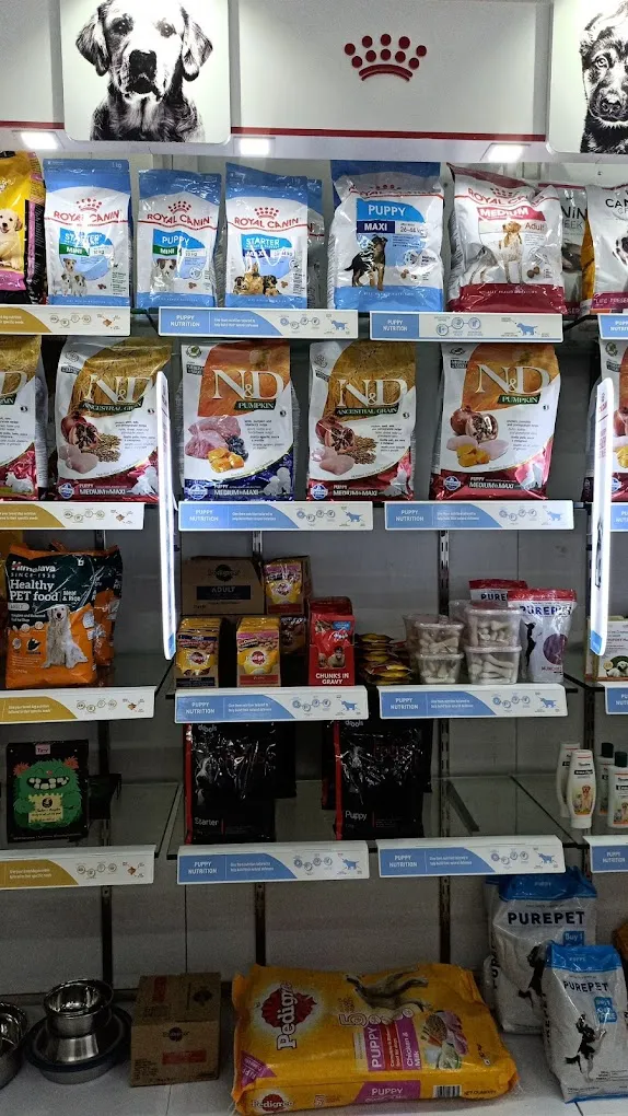 DogMyCats - Neeladri Nagar - 4