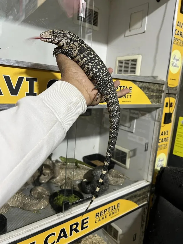 ROYAL HOBBIES PET SHOP - 6