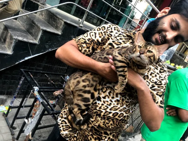 ROYAL HOBBIES PET SHOP - 7