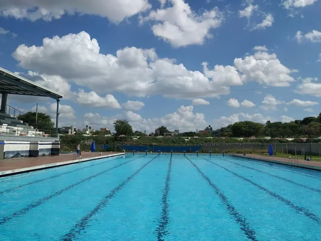 Ray Center - Wilson Garden Swimming Pool - 6