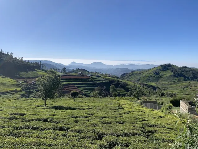 Arjun Tours and Travels Pvt.Ltd. - 2