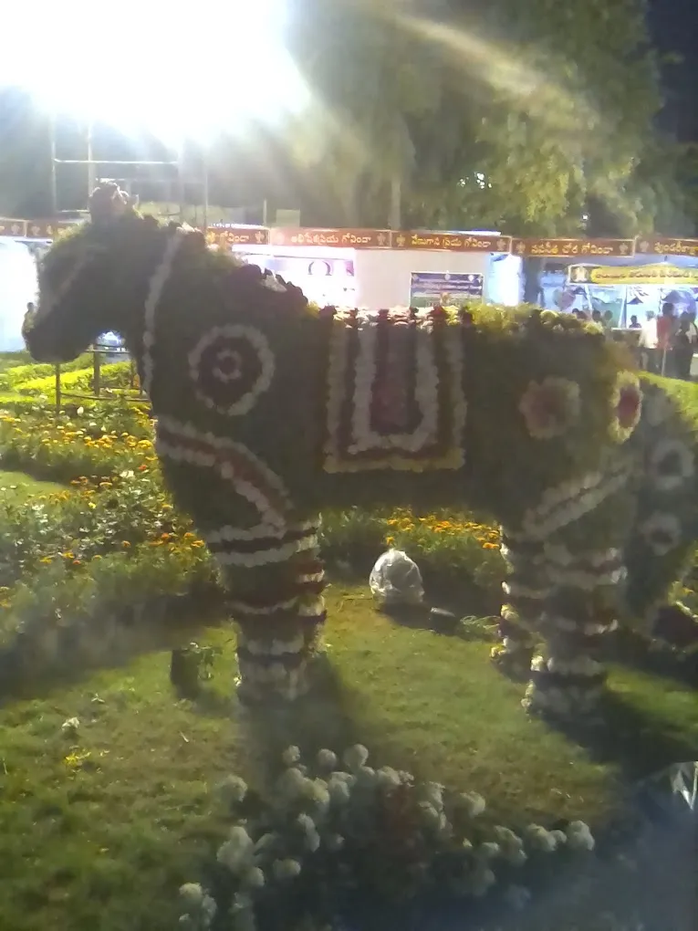 Provizor IT Services Pvt Ltd