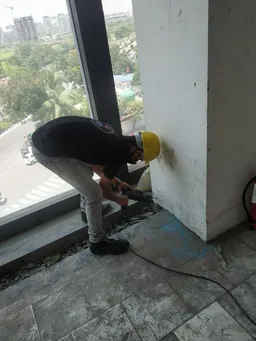 S3 Pest Control Services