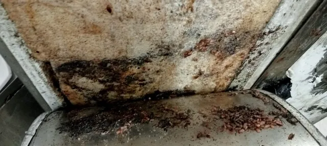 JV Care Pest Control - 2