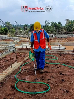 Pesterad Services - 2