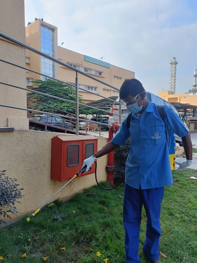 Pesterad Services - 3