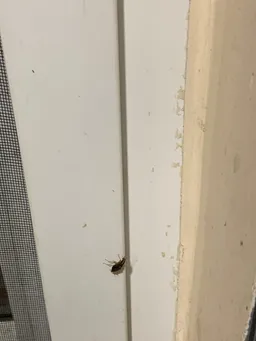 HiCare Services Private Limited - 560022 - 3