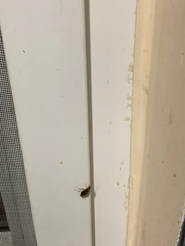 HiCare Services Private Limited - 560022 - 3