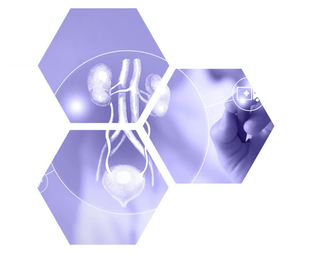 Maxwell Hospital In Bani Park