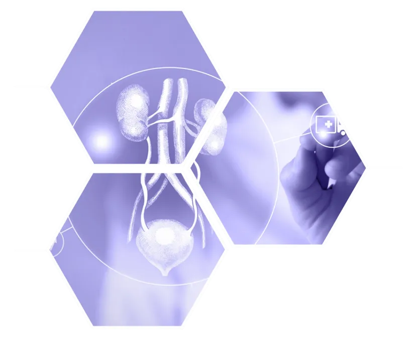 Maxwell Hospital In Bani Park