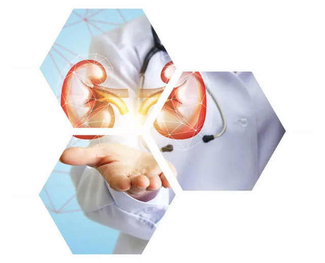 Maxwell Hospital In Bani Park - 2