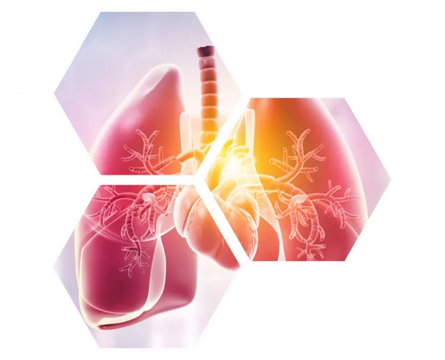 Maxwell Hospital In Bani Park - 4